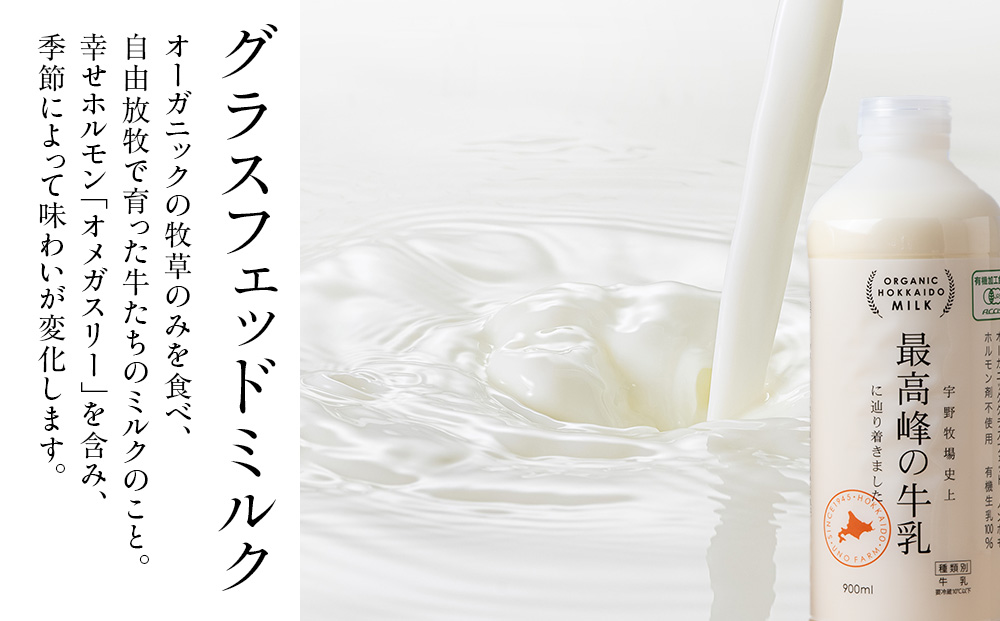 幞ããªçã®ãã«ã¯ããã§ãããžã§ã©ãŒã ããã£ã·ãšãããã6åã»ããã幎4åé åžäŒã»å®æäŸ¿ïŒã±SAKURA STYLEïŒ
