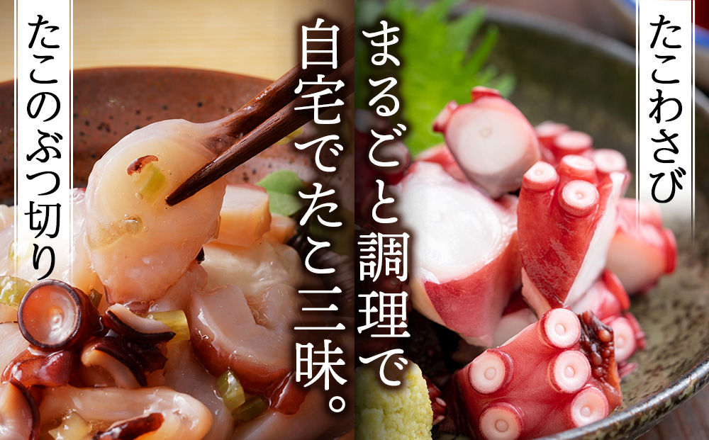  北海道天塩町 煮たこ 足 700ｇ前後＜天塩の國＞タコ 蛸 北海道産 海鮮 お刺身 冷凍 たこ足