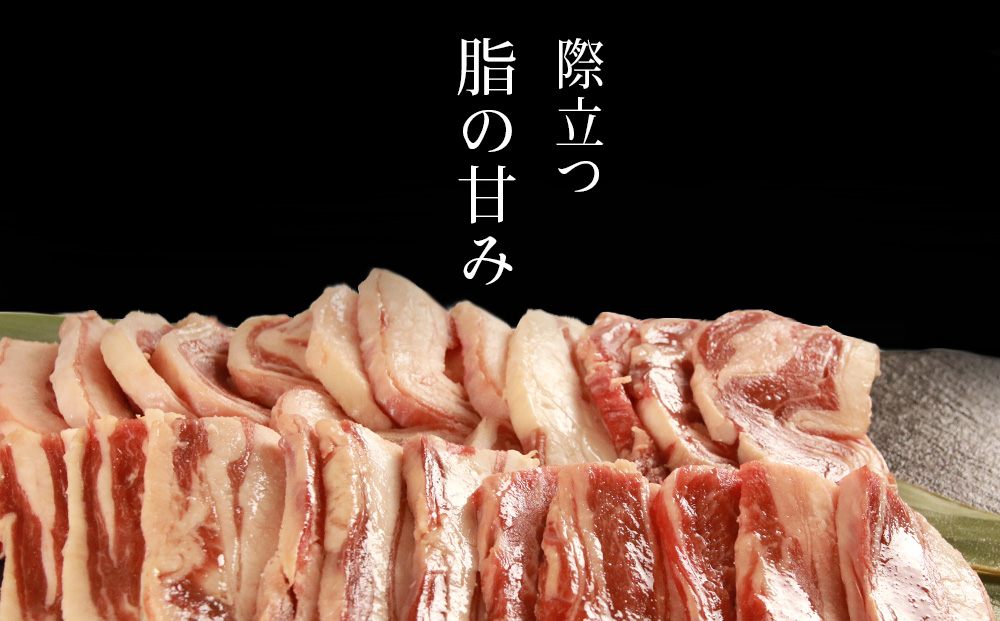 せせらぎサフォーク(国産ホゲット)バラ肉 300g×2<計良商事>