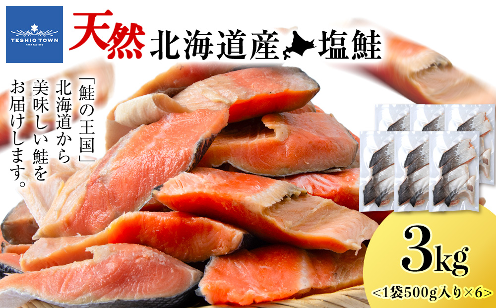 北海道産 塩サケ切り身 3kg しゃけ サケ 海鮮 魚 切り身