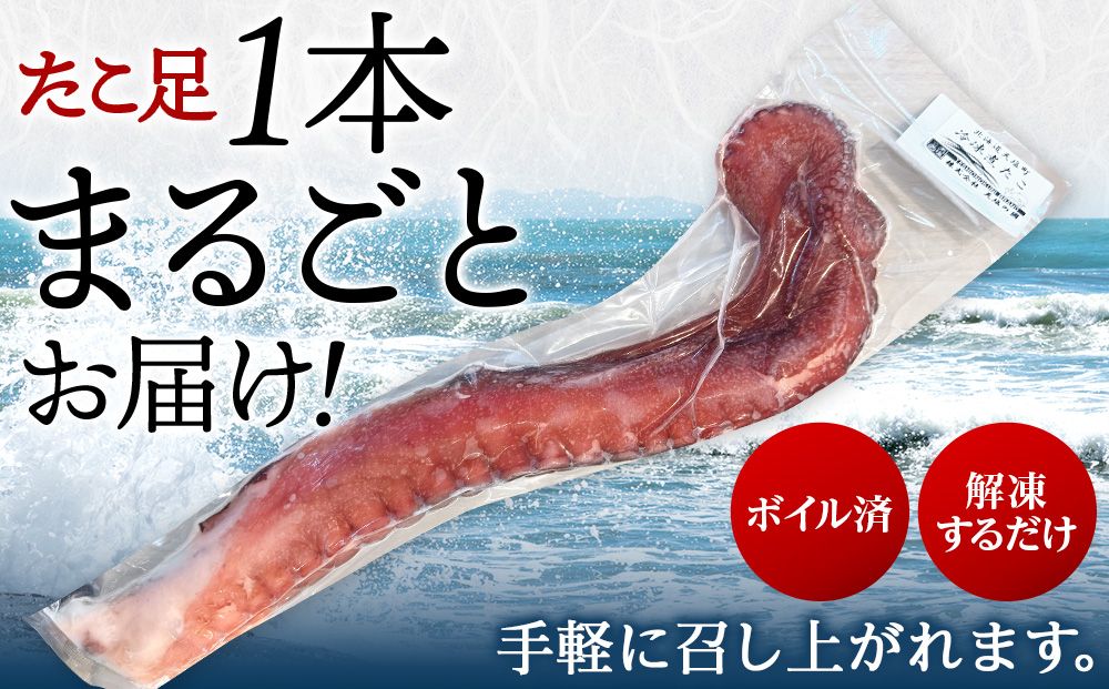  北海道天塩町 煮たこ 足 700ｇ前後＜天塩の國＞タコ 蛸 北海道産 海鮮 お刺身 冷凍 たこ足