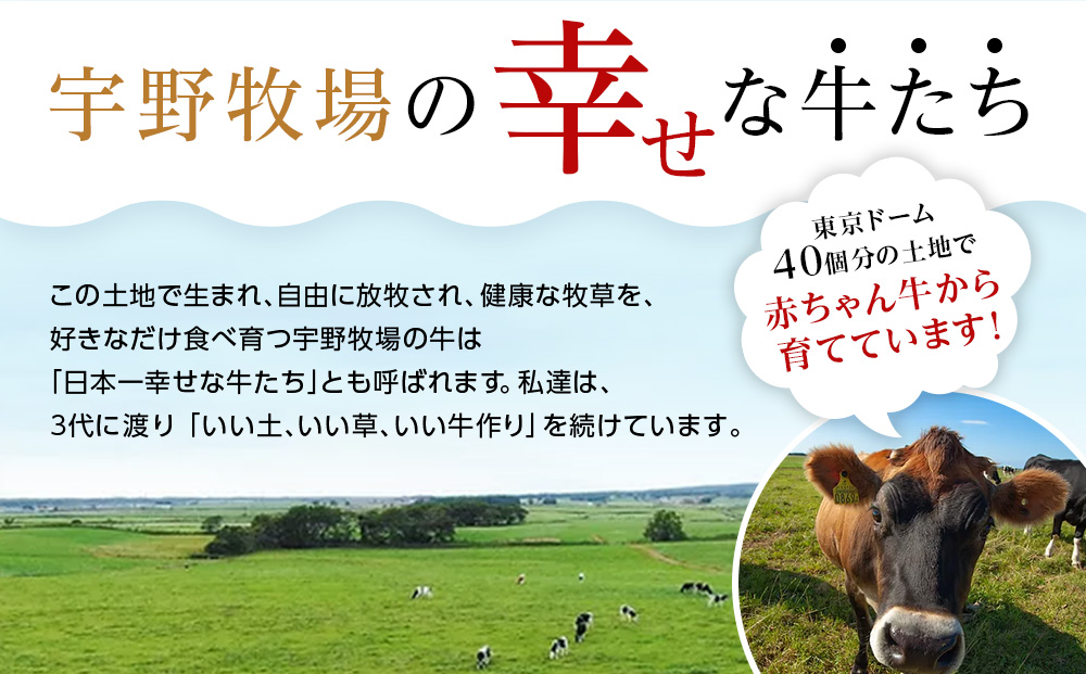【定期便3ヵ月】オーガニックプレーンヨーグルト（無糖）4個セット