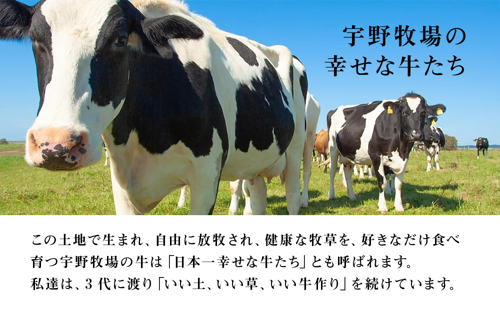 トロケッテ・ウーノ いちごのソース＆抹茶 計6個(宇野牧場)