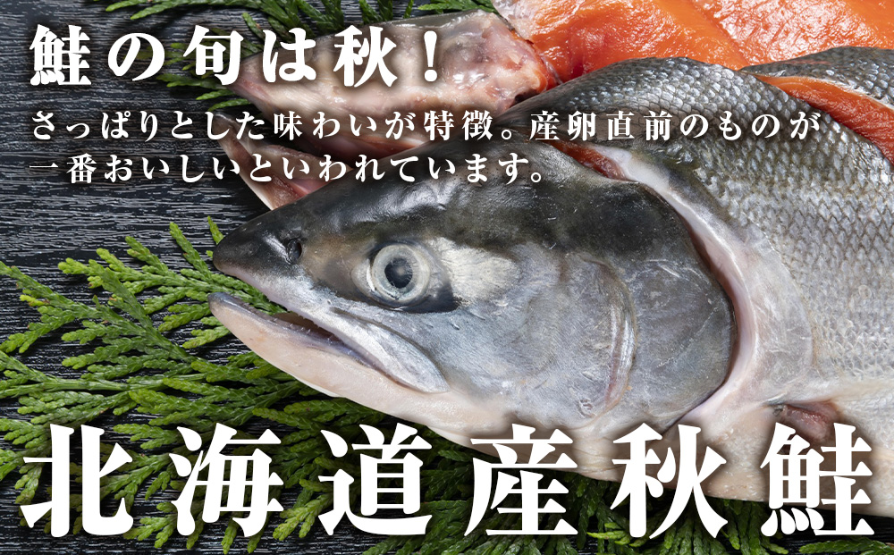 サイコロサーモン 600ｇ×3袋 合計1.8kg 秋鮭ダイスカット さけ サケ 冷凍 魚