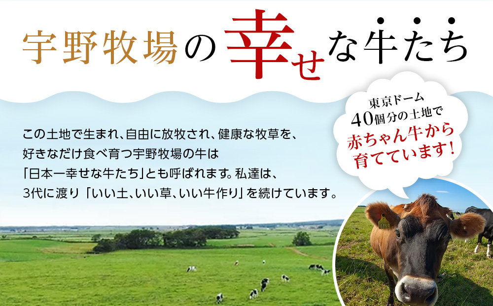 ウーノアイス　15個セット