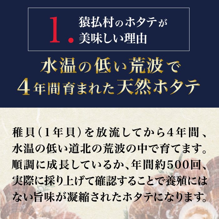 2024年とれたてを急速冷凍 北海道猿払産　冷凍ホタテ貝柱「数量限定特サイズ（玉不揃い・若干の欠けあり」　1kg【0104402】