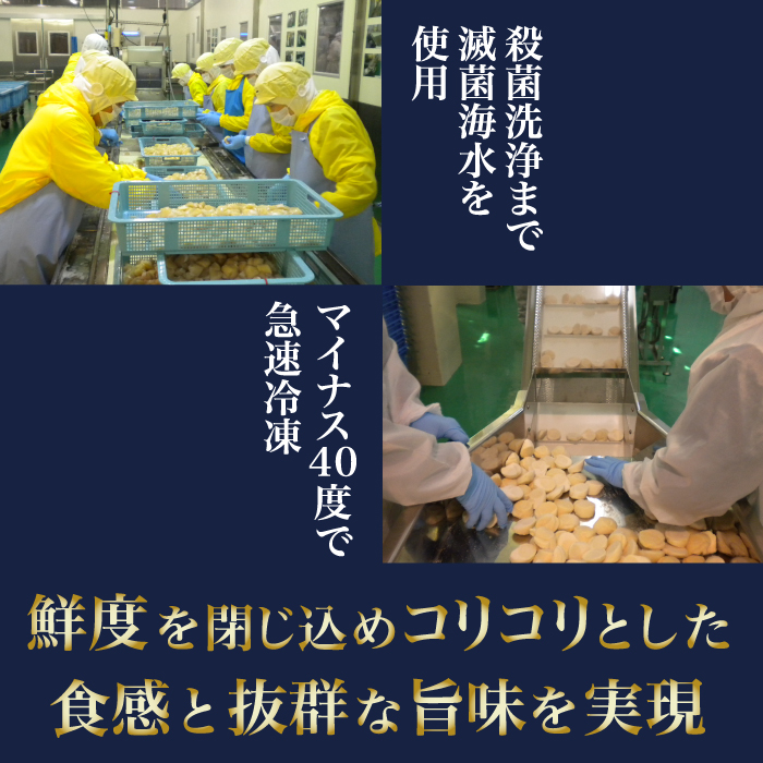 2024年とれたてを急速冷凍 北海道猿払産　冷凍ホタテ貝柱　500g（25～30玉）【0104201】