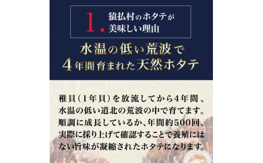 2025年とれたてを急速冷凍北海道猿払産　冷凍ホタテ貝柱　500g（25～30玉）【0104208】