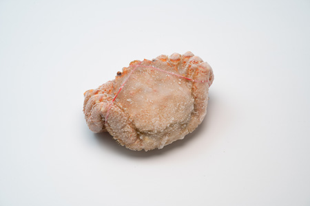 新鮮浜ゆで毛ガニ（大）×1尾【0401601】