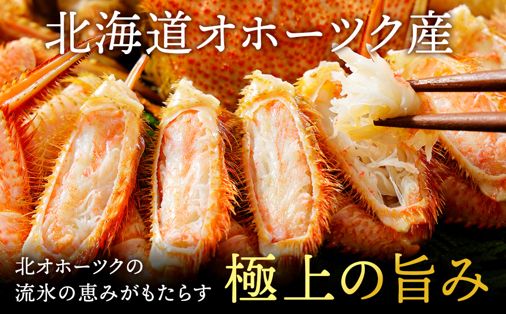 豬憺灘挨逕」縲繝懊う繝ォ豈幄淹縲邏660g縲2蟆セ