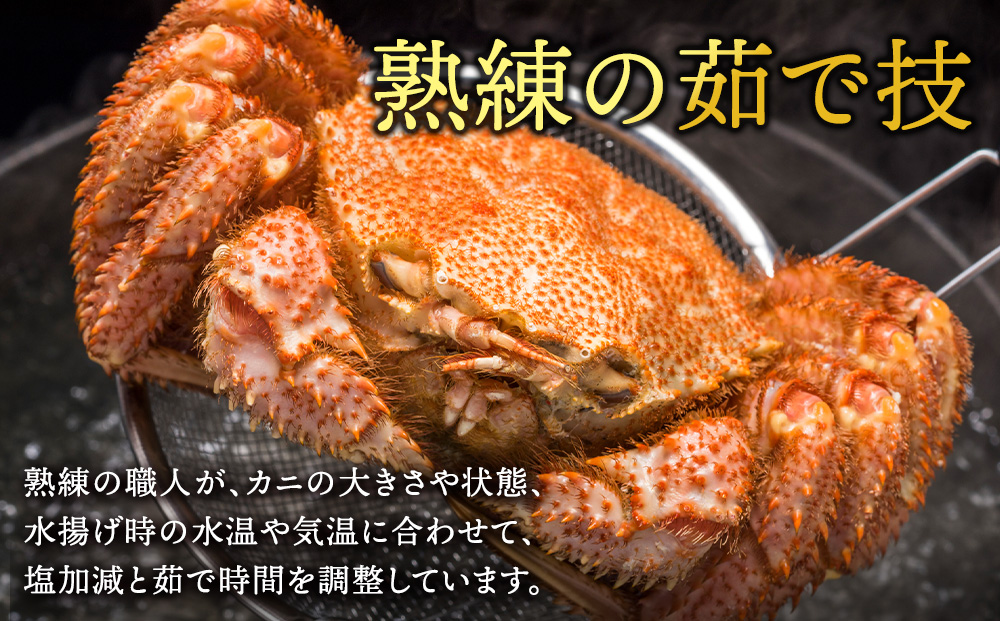 浜頓別産　ボイル毛蟹　約570g　2尾