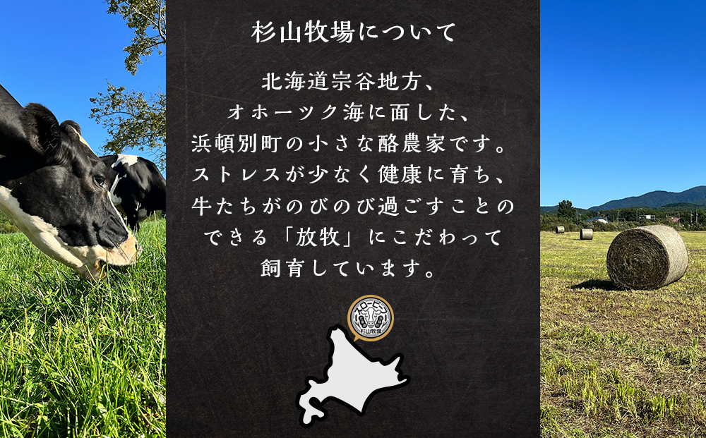 スロービーフひき肉300g×10袋【杉山牧場】