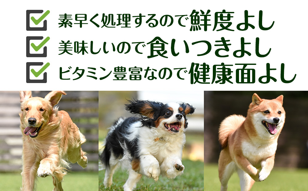 犬 おやつ 鹿肉 無添加 国産 エゾシカ 肉 100％ 粗挽きふりかけ 160g (80g×2) 定期便3回 ペット 餌 エサ 浜頓別 北海道