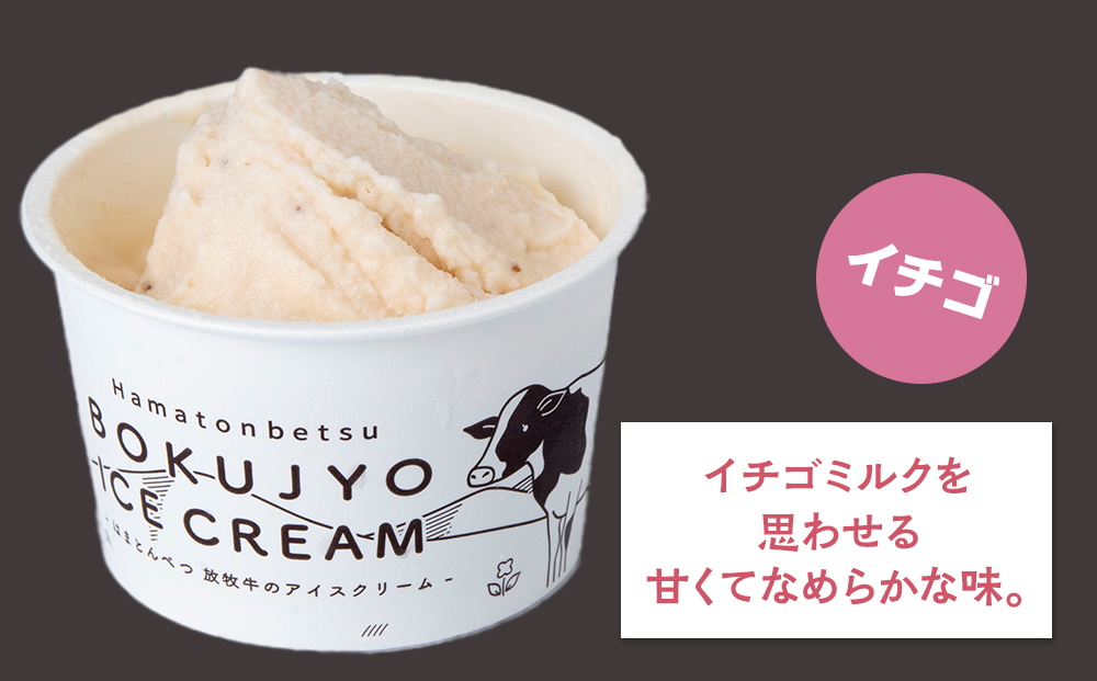 放牧牛 アイスクリーム イチゴ　9個 【池田牧場】