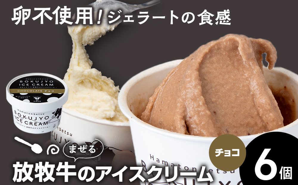 放牧牛 アイスクリーム6個（チョコ） 【池田牧場】