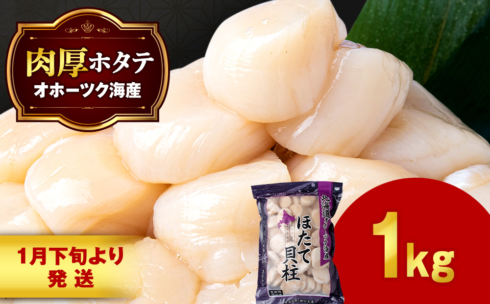 【1月末発送】 ほたて 貝柱 大粒 冷凍 1kg×1パック お取り寄せ 刺身 《横田水産》