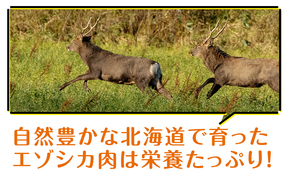 犬 おやつ 鹿肉 無添加 国産 エゾシカ 肉 100％ クッキー 160g (40g×4) 定期便6回 ペット 餌 エサ 浜頓別 北海道