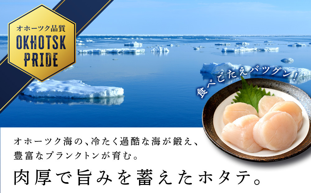 【2024年夏発送】ホタテ 北海道産 冷凍 貝柱 500ｇ(250g×2個セット) 【頓別漁業協同組合】