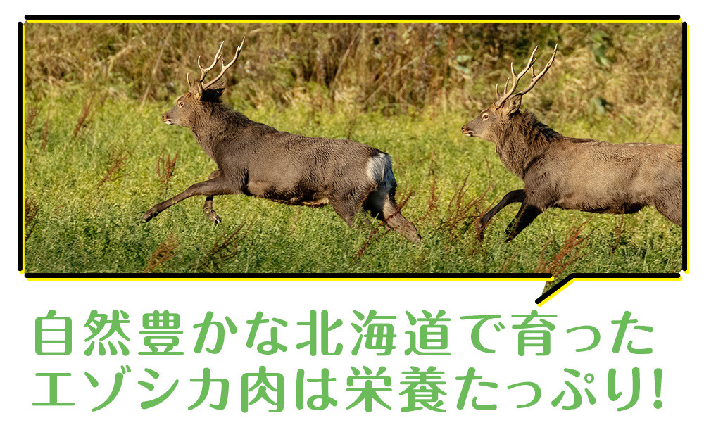 犬 おやつ 無添加 国産 エゾ鹿 アキレス 腱 (50g) 歯磨き 歯石 ガム 犬用 トリーツ ペットフード ドッグフード エゾシカ