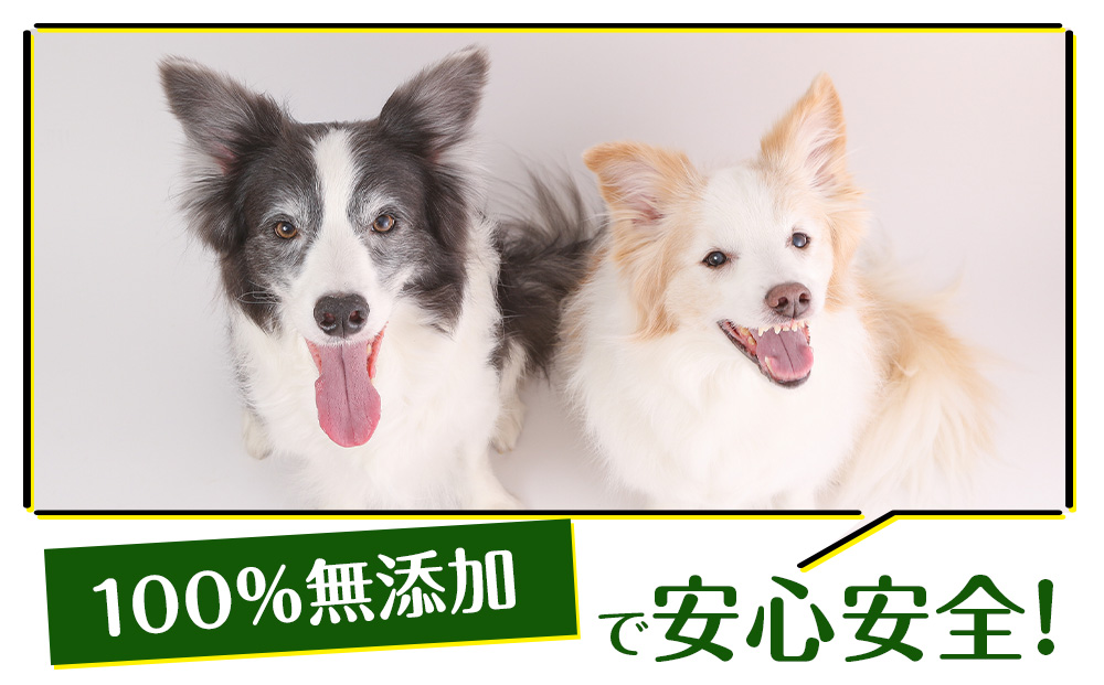 乾燥ホルモントライプ　20g×2袋