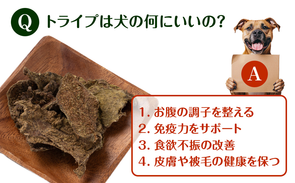 乾燥ホルモントライプ　20g×2袋