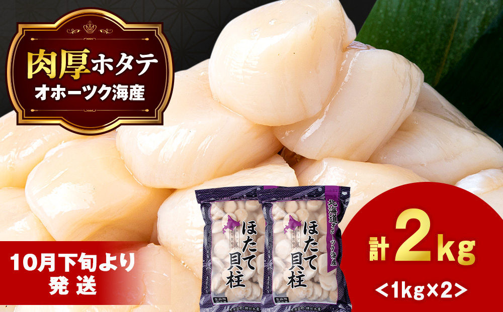 【10月下旬以降発送】ほたて 大粒 貝柱 冷凍 2kg（1kg×2パック） お取り寄せ 刺身 《横田水産》
