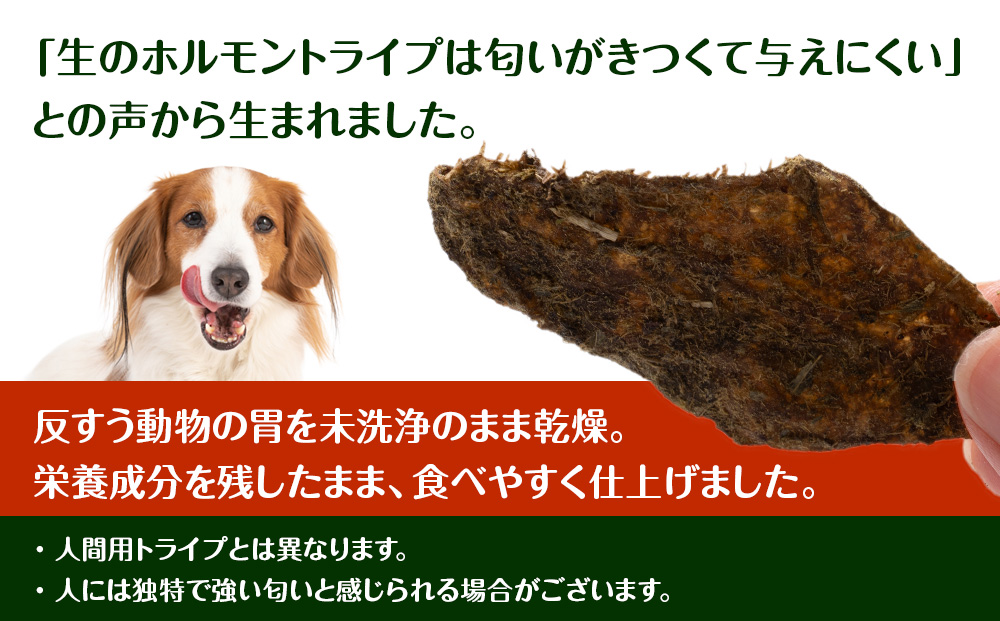 乾燥ホルモントライプ　20g×2袋