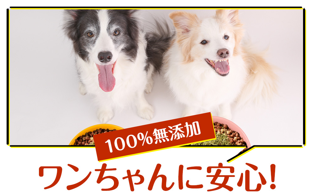 犬 餌 鹿肉 おやつ 無添加 国産 エゾシカ肉100％クッキー エゾシカ粗挽きふりかけ エゾシカふりかけ 乾燥グリーントライプ 4点セット ペット エサ 浜頓別 北海道