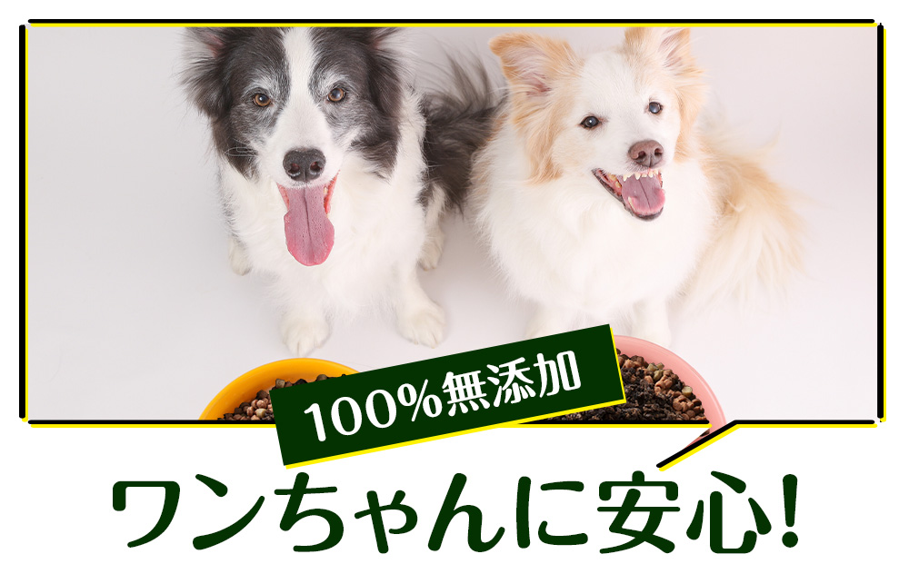 犬 おやつ 鹿肉 無添加 国産 エゾシカ 肉 100％ 粗挽き ふりかけ 320g (80g×4) ペット 餌 エサ 浜頓別 北海道