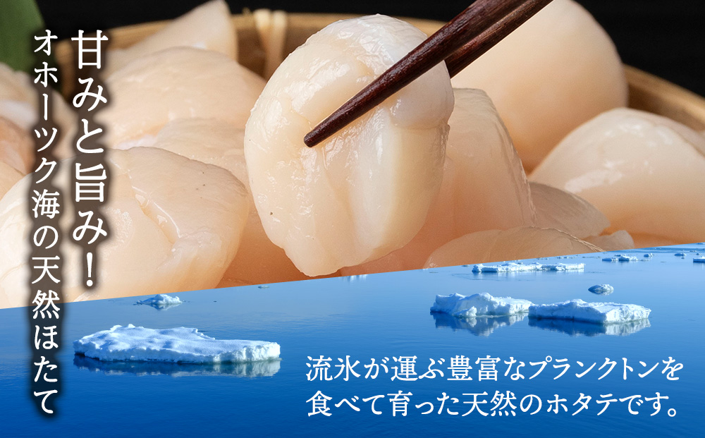 豬憺灘挨荳遲峨繝帙ち繝雋晄浤縲1.1kg