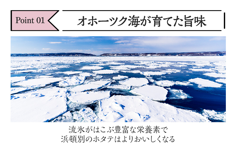 縲1譛域忰逋コ騾√ 縺サ縺溘※ 雋晄浤 螟ァ邊 蜀キ蜃 1kgテ1繝代ャ繧ッ 縺雁叙繧雁ッ縺 蛻コ霄ォ 縲頑ィェ逕ー豌エ逕」縲