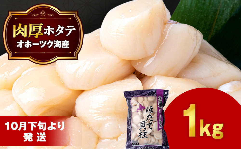 ほたて 貝柱 大粒 冷凍 1kg(41粒〜50粒前後)×1パック お取り寄せ 刺身  《横田水産》