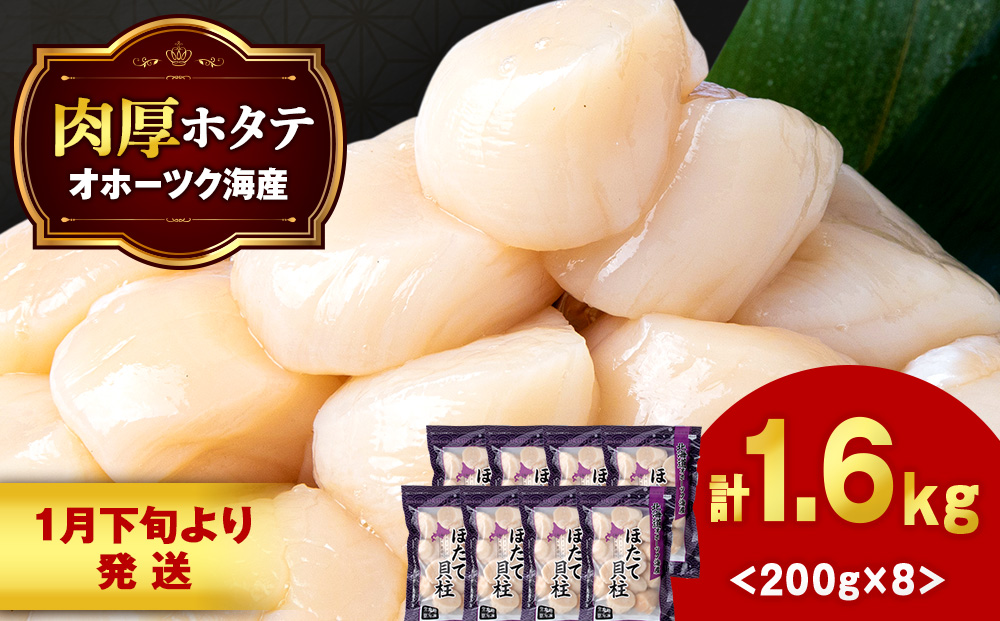 【1月末発送】ほたて 貝柱 冷凍 200ｇ(15粒前後)×8パック お取り寄せ 刺身 《横田水産》