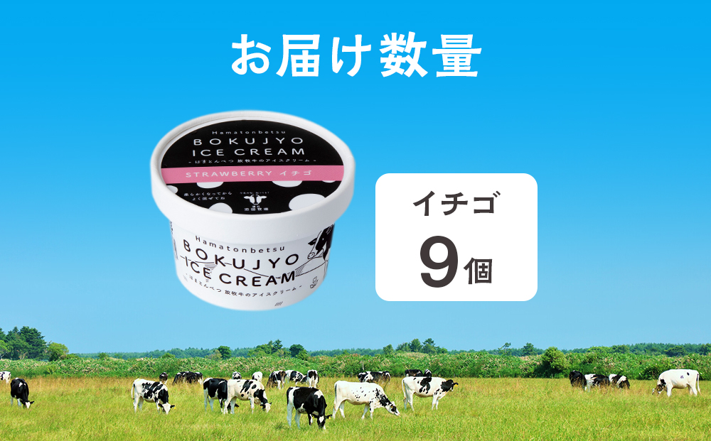 放牧牛 アイスクリーム イチゴ　9個 【池田牧場】