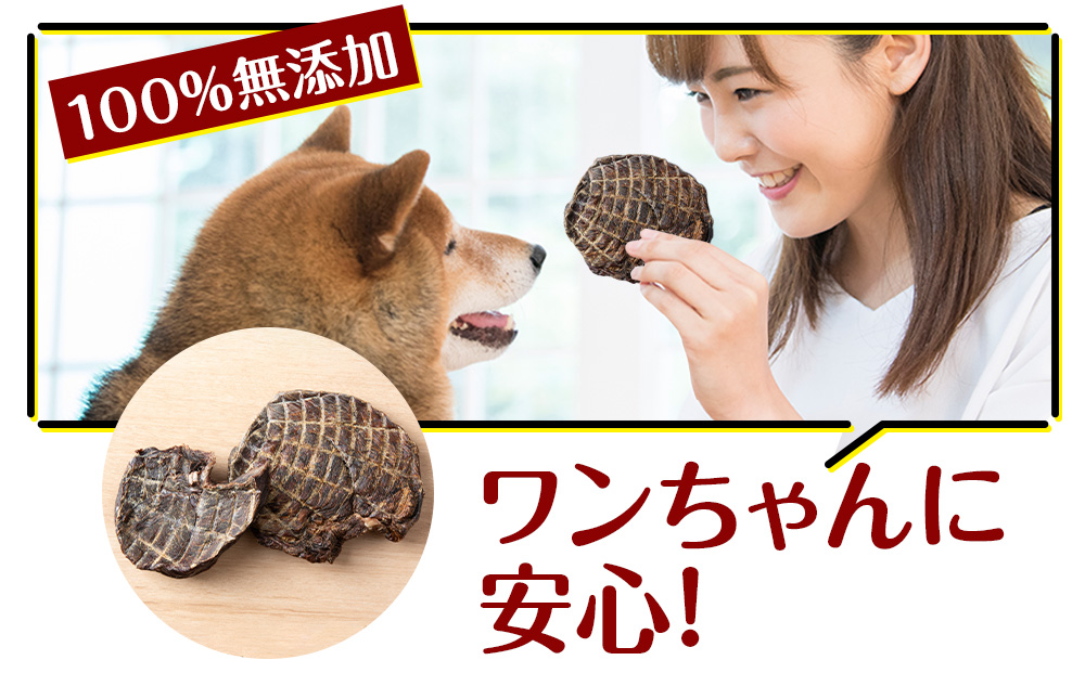 犬 おやつ 鹿肉 ご褒美 ちょっと贅沢なエゾシカステーキジャーキー（150g）