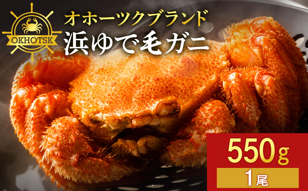 ☆北海道産 毛ガニ 約550g×1尾 かに 蟹 毛蟹 冷凍 北海道産 浜頓別町
