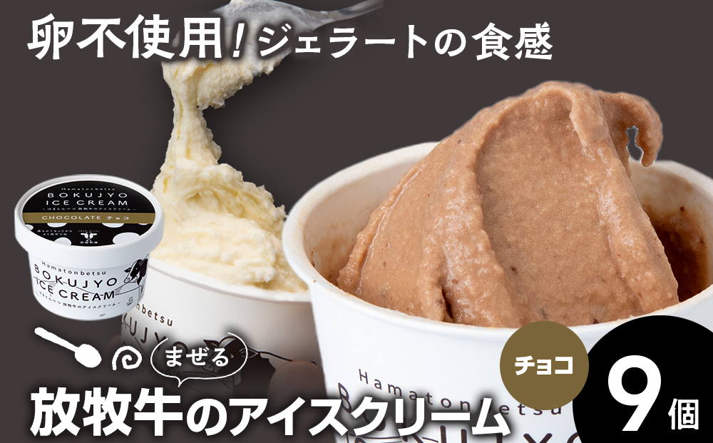 放牧牛 アイスクリーム9個（チョコ） 【池田牧場】