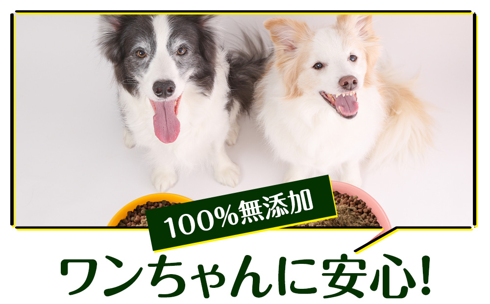 犬 おやつ 鹿肉 無添加 国産 エゾシカ 肉 100％ ふりかけ 480g (80g×6) ペット 餌 エサ 浜頓別 北海道