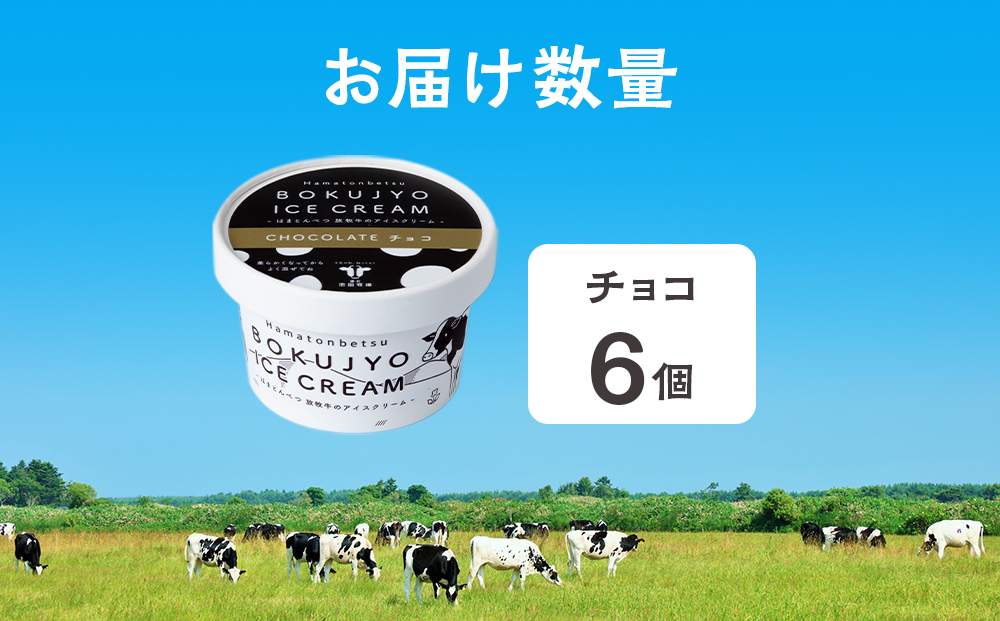 放牧牛 アイスクリーム6個（チョコ） 【池田牧場】