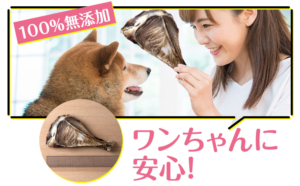 犬 おやつ 無添加 国産 骨 エゾ鹿 ボーン 肩甲骨 (約300g) 【premium北海道うまいもん屋】