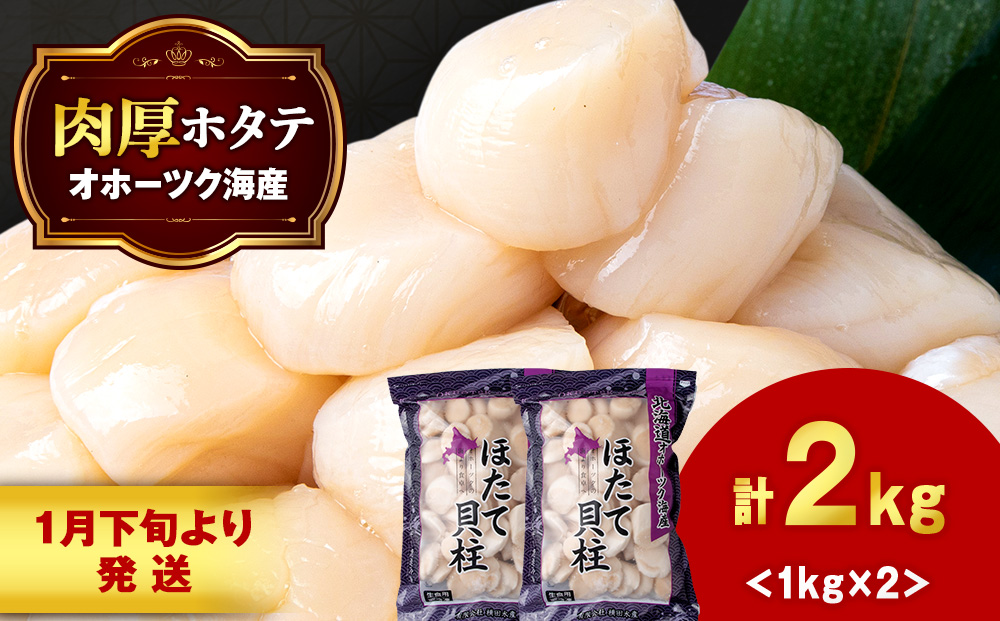 【1月末発送】ほたて 大粒 貝柱 冷凍 2kg（1kg×2パック） お取り寄せ 刺身 《横田水産》