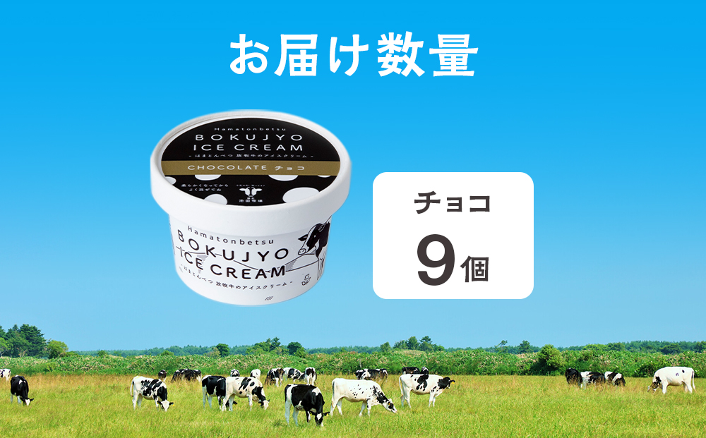 放牧牛 アイスクリーム9個（チョコ） 【池田牧場】