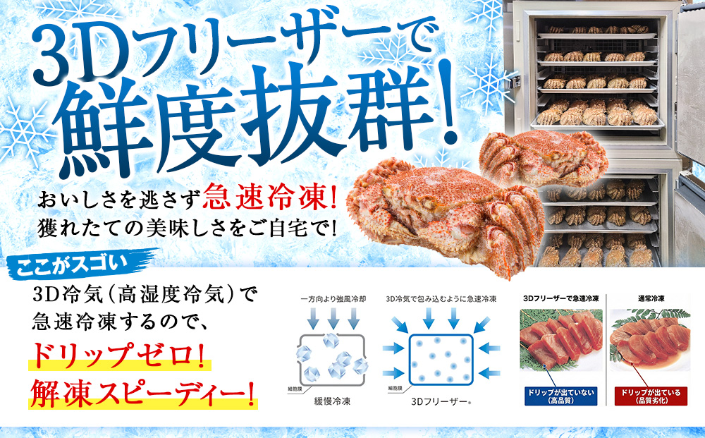 北海道産 毛ガニ 毛蟹の鉄砲汁6人前（2人前×3パック）【株式会社シーグレイセス】