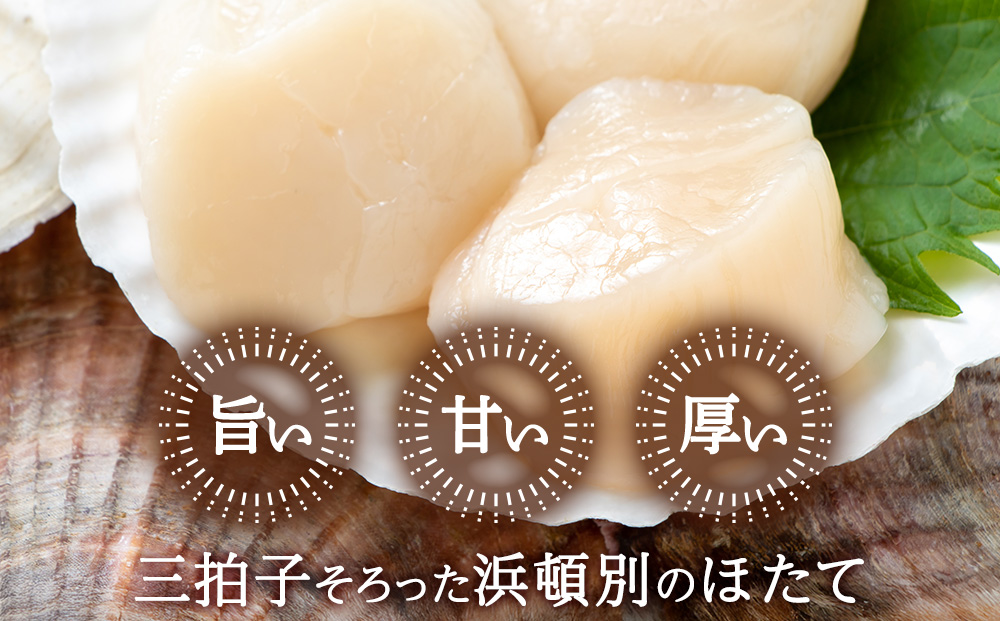 【1月末発送】ほたて 貝柱 冷凍 200ｇ(15粒前後)×8パック お取り寄せ 刺身 《横田水産》