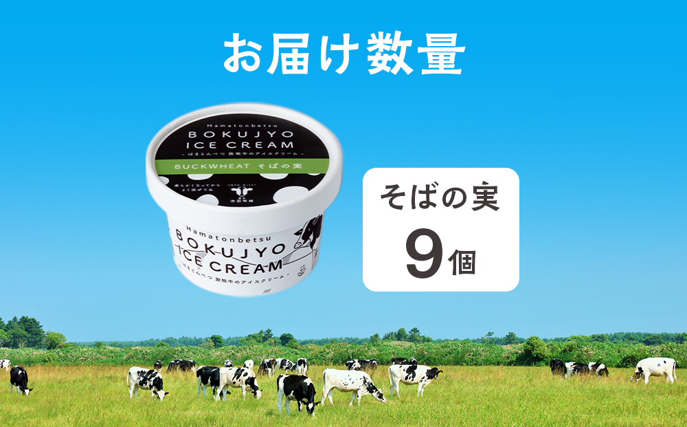放牧牛 アイスクリーム 9個（そばの実） 【池田牧場】