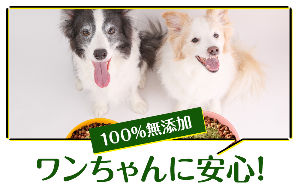 犬 おやつ 無添加 国産 乾燥グリーントライプ 80g (20g×4) ペット エサ 餌 浜頓別 北海道