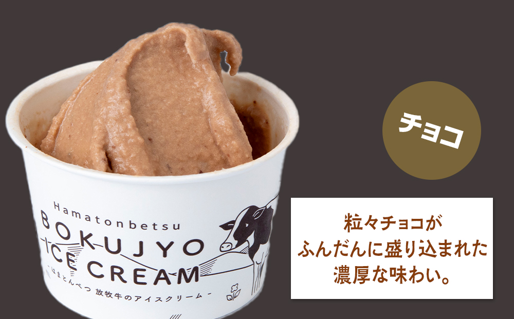 放牧牛 アイスクリーム6個（チョコ） 【池田牧場】