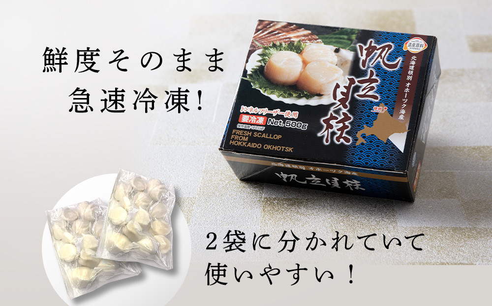 【2024年夏発送】ホタテ 北海道産 冷凍 貝柱 500ｇ(250g×2個セット) 【頓別漁業協同組合】