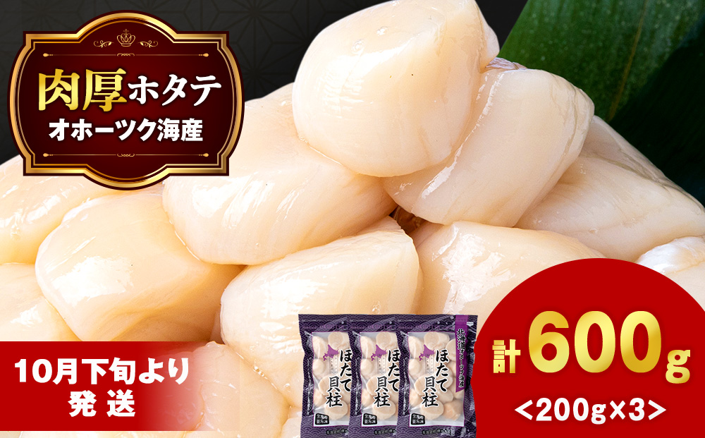 【10月下旬以降発送】 ほたて 冷凍貝柱 冷凍(15粒前後)200ｇ×3パック お取り寄せ 刺身 《横田水産》