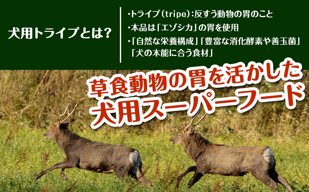 乾燥ホルモントライプ　20g×2袋